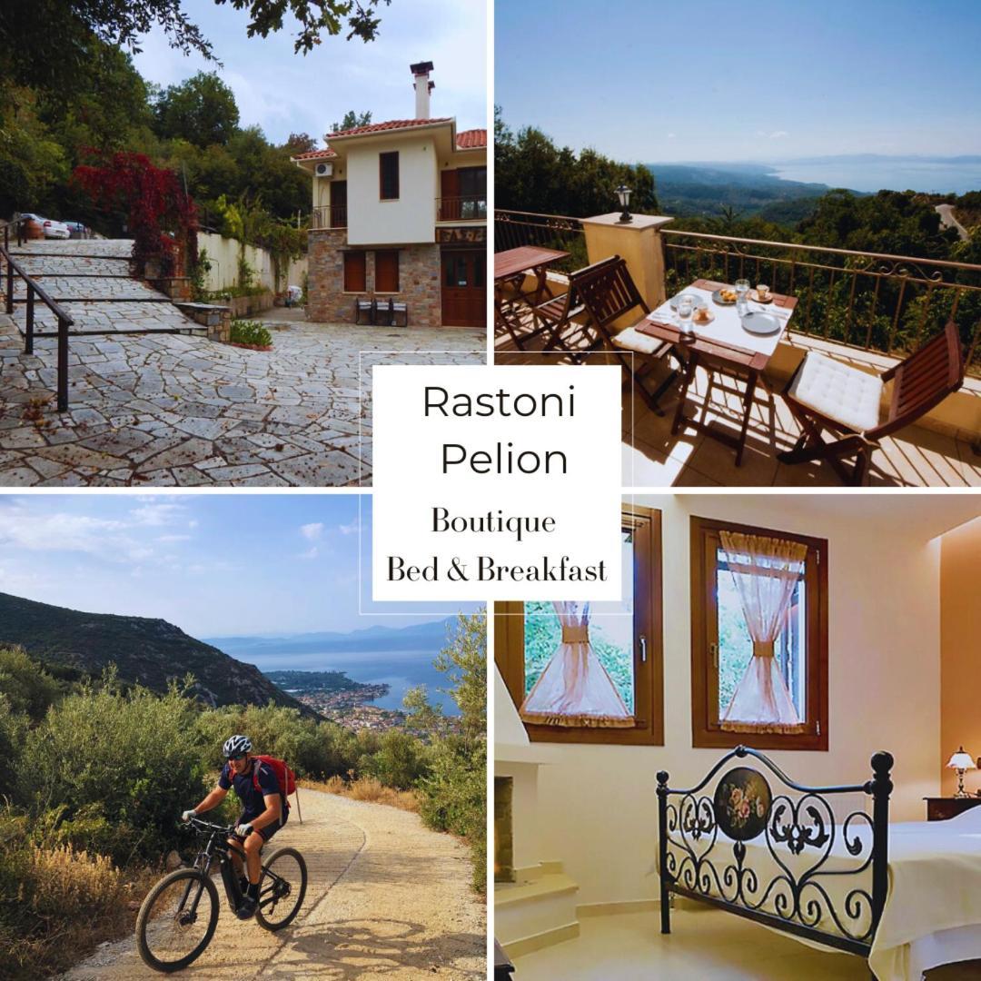 Rastoni Pelion Hotel Vizitsa Exterior photo