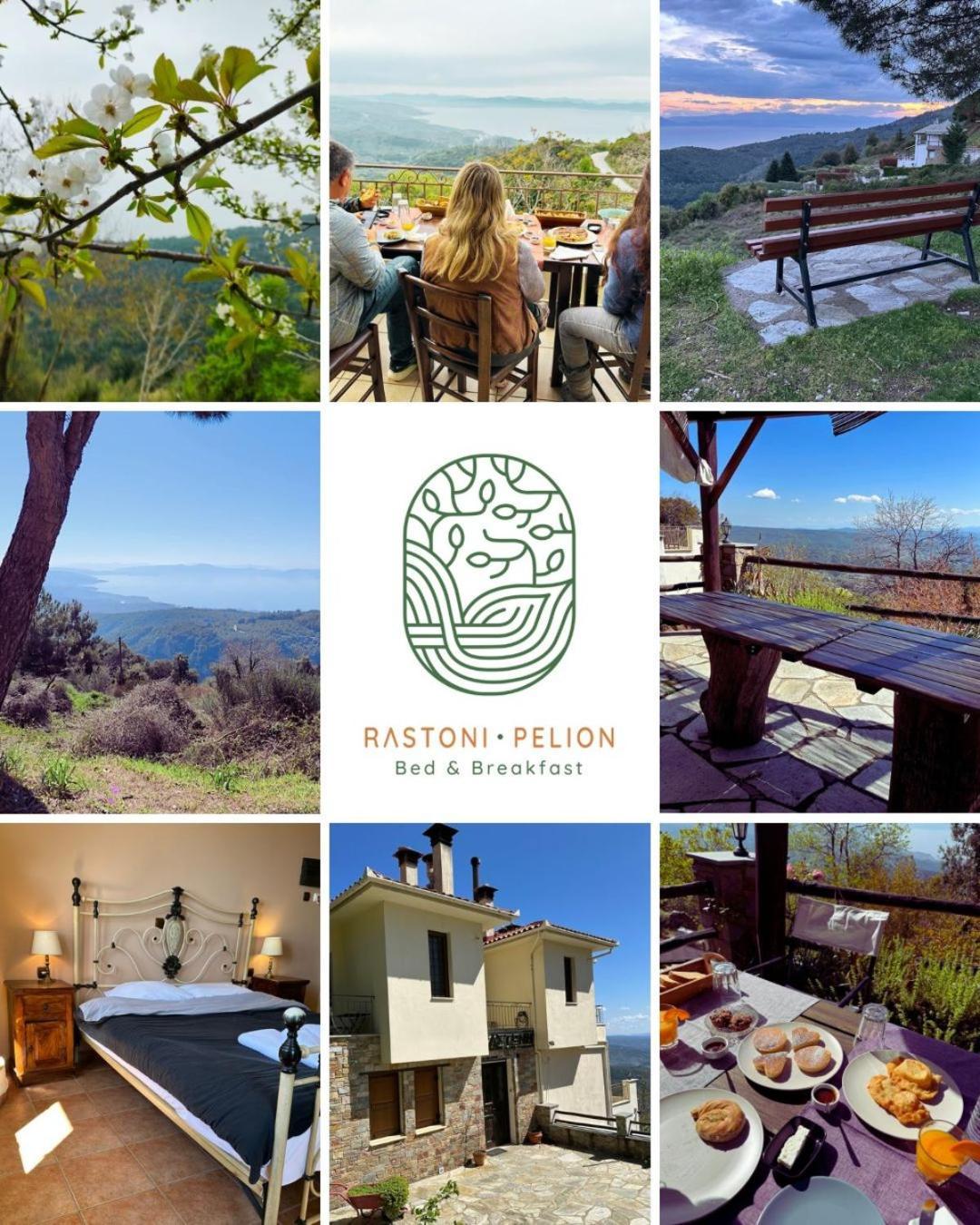Rastoni Pelion Hotel Vizitsa Exterior photo