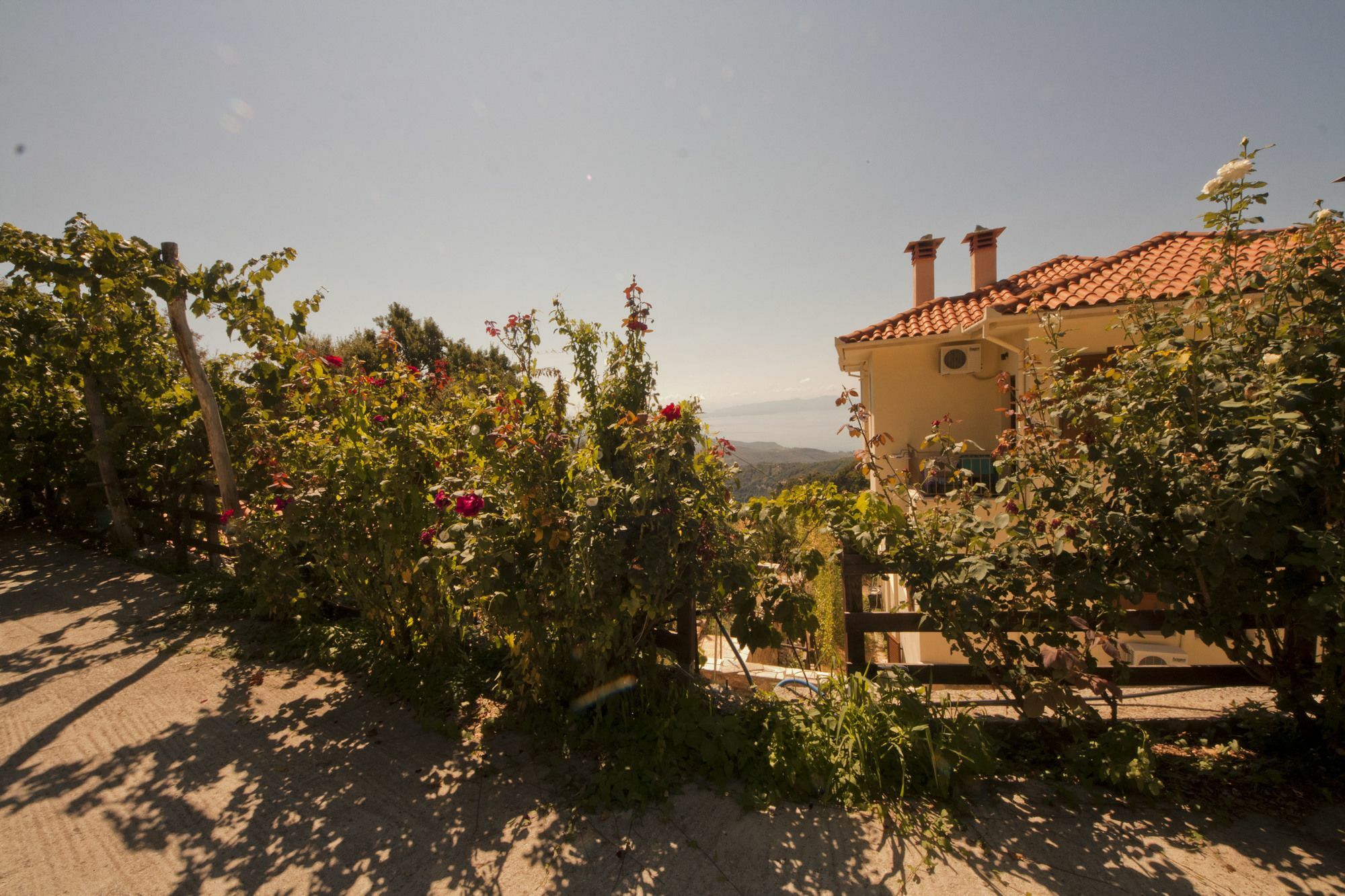 Rastoni Pelion Hotel Vizitsa Exterior photo